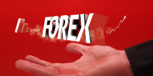 Forex piyasası nasıl işler?